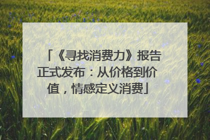 《寻找消费力》报告正式发布：从价格到价值，情感定义消费