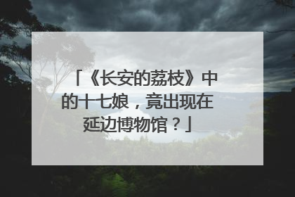 《长安的荔枝》中的十七娘，竟出现在延边博物馆？
