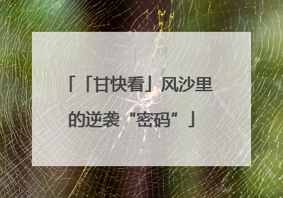「甘快看」风沙里的逆袭“密码”