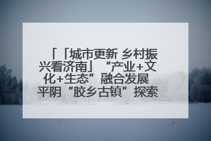 「城市更新 乡村振兴看济南」“产业+文化+生态”融合发展 平阴“胶乡古镇”探索振兴路径成效显著
