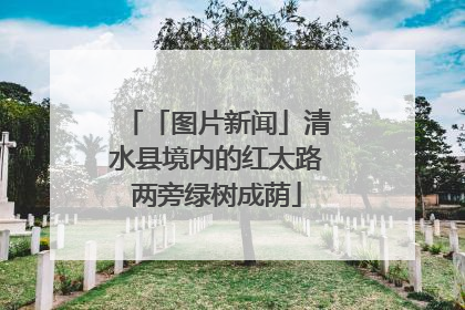 「图片新闻」清水县境内的红太路两旁绿树成荫
