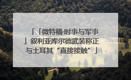 「微特稿·时事与军事」叙利亚库尔德武装称正与土耳其“直接接触”