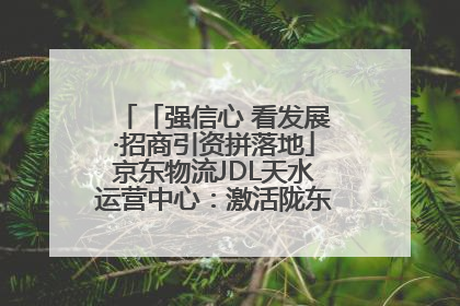 「强信心 看发展·招商引资拼落地」京东物流JDL天水运营中心：激活陇东南区域经济新引擎