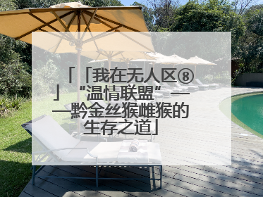 「我在无人区⑧」“温情联盟”——黔金丝猴雌猴的生存之道