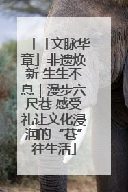 「文脉华章」非遗焕新 生生不息｜漫步六尺巷 感受礼让文化浸润的“巷”往生活
