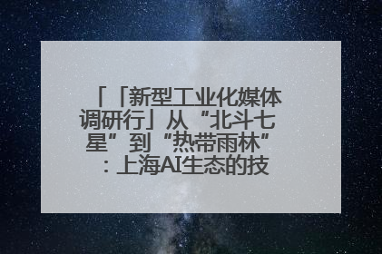 「新型工业化媒体调研行」从“北斗七星”到“热带雨林”：上海AI生态的技术商业共生密码