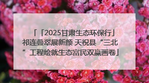 「2025甘肃生态环保行」祁连叠翠展新颜 天祝县“三北”工程绘就生态富民双赢画卷
