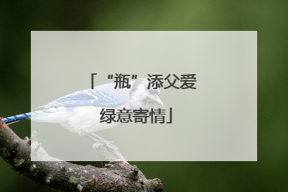 “瓶”添父爱 绿意寄情