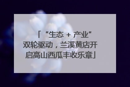 “生态 + 产业”双轮驱动，兰溪黄店开启高山西瓜丰收乐章
