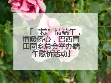 “粽”情端午，情暖侨心，巴西青田同乡总会举办端午慰侨活动