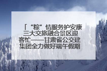 “粽”情服务护安康 三大交旅融合景区迎客忙——甘肃省公交建集团全力做好端午假期景区运营工作