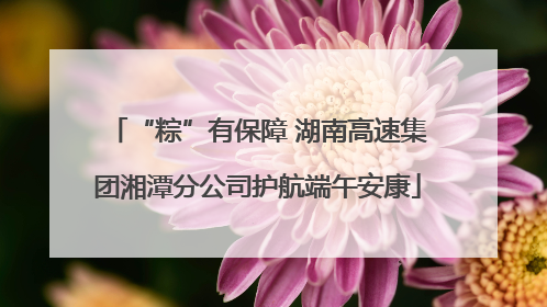 “粽”有保障 湖南高速集团湘潭分公司护航端午安康