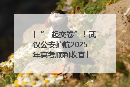 “一起交卷”！武汉公安护航2025年高考顺利收官
