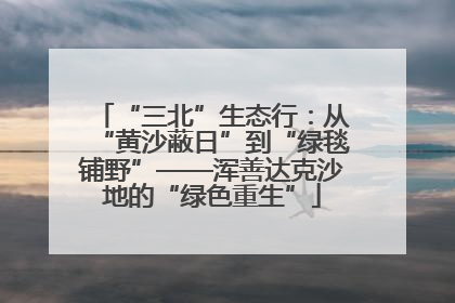 “三北”生态行：从“黄沙蔽日”到“绿毯铺野”——浑善达克沙地的“绿色重生”