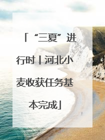 “三夏”进行时丨河北小麦收获任务基本完成