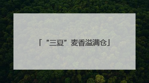 “三夏”麦香溢满仓