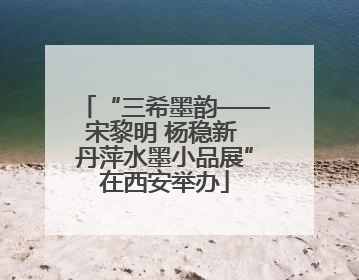 “三希墨韵——宋黎明 杨稳新 丹萍水墨小品展”在西安举办