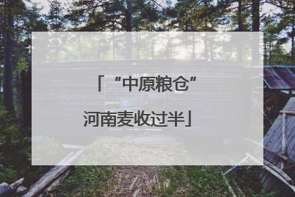 “中原粮仓”河南麦收过半