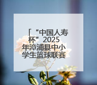 “中国人寿杯”2025年漳浦县中小学生篮球联赛圆满落幕