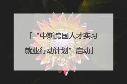 “中斯跨国人才实习就业行动计划”启动