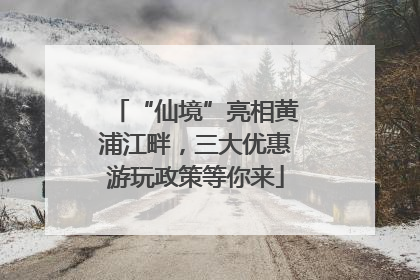“仙境”亮相黄浦江畔，三大优惠游玩政策等你来