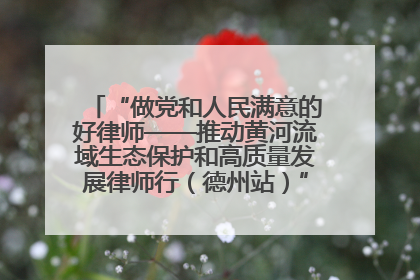 “做党和人民满意的好律师——推动黄河流域生态保护和高质量发展律师行（德州站）”活动成功举办
