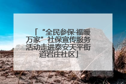 “全民参保·福暖万家”社保宣传服务活动走进泰安天平街道岩庄社区