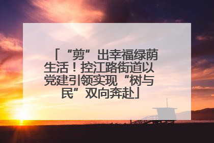 “剪”出幸福绿荫生活！控江路街道以党建引领实现“树与民”双向奔赴