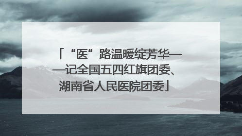 “医”路温暖绽芳华——记全国五四红旗团委、湖南省人民医院团委