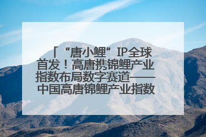 “唐小鲤”IP全球首发！高唐携锦鲤产业指数布局数字赛道——中国高唐锦鲤产业指数暨“唐小鲤”IP全球首发仪式在杭州举行