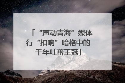 “声动青海”媒体行“扣响”暗格中的千年吐蕃王冠