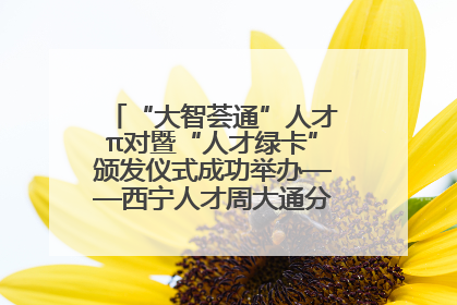 “大智荟通”人才π对暨“人才绿卡”颁发仪式成功举办——西宁人才周大通分会场亮点纷呈