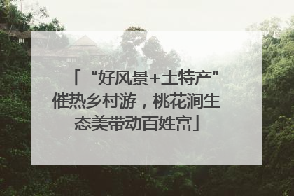 “好风景+土特产”催热乡村游，桃花涧生态美带动百姓富