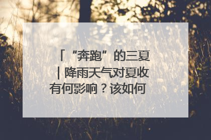 “奔跑”的三夏｜降雨天气对夏收有何影响？该如何防范？一文了解