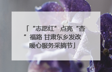 “志愿红”点亮“杏”福路 甘肃东乡发改暖心服务采摘节