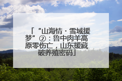 “山海情・雪域援梦”②：鲁中肉羊高原零伤亡，山东援藏破养殖密码