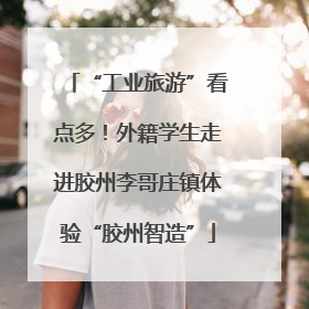 “工业旅游”看点多！外籍学生走进胶州李哥庄镇体验“胶州智造”