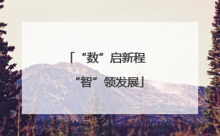 “数”启新程 “智”领发展