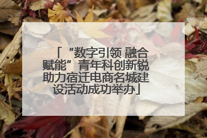 “数字引领 融合赋能”青年科创新锐助力宿迁电商名城建设活动成功举办