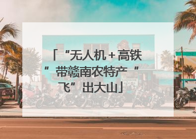 “无人机＋高铁”带赣南农特产“飞”出大山