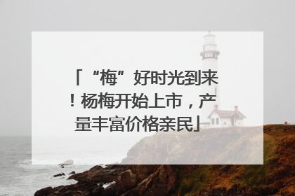 “梅”好时光到来！杨梅开始上市，产量丰富价格亲民