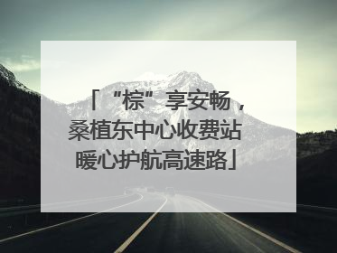 “棕”享安畅，桑植东中心收费站暖心护航高速路