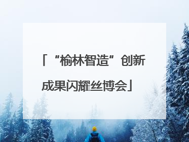 “榆林智造”创新成果闪耀丝博会