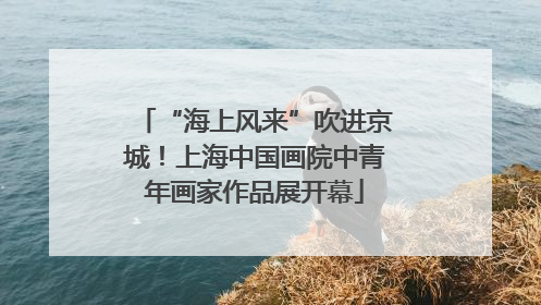 “海上风来”吹进京城！上海中国画院中青年画家作品展开幕
