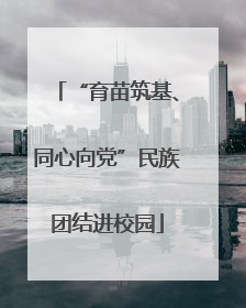 “育苗筑基、同心向党”民族团结进校园