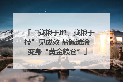 “藏粮于地、藏粮于技”见成效 盐碱滩涂变身“黄金粮仓”
