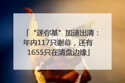 “迷你基”加速出清：年内117只谢幕，还有1655只在清盘边缘