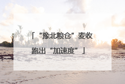 “豫北粮仓”麦收跑出“加速度”
