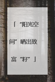 “阳光空间”晒出致富“籽”