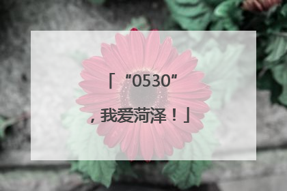 “0530”，我爱菏泽！